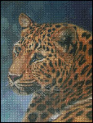 (image for) Amur Leopard